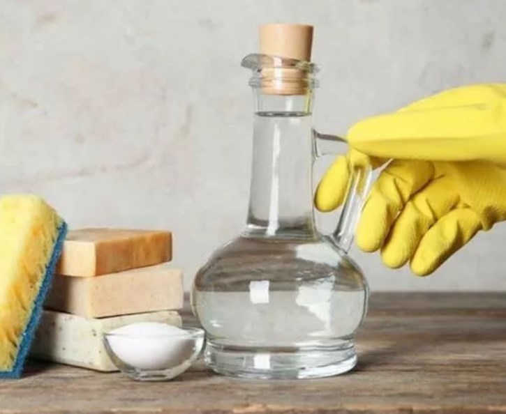 Пліснява зникне